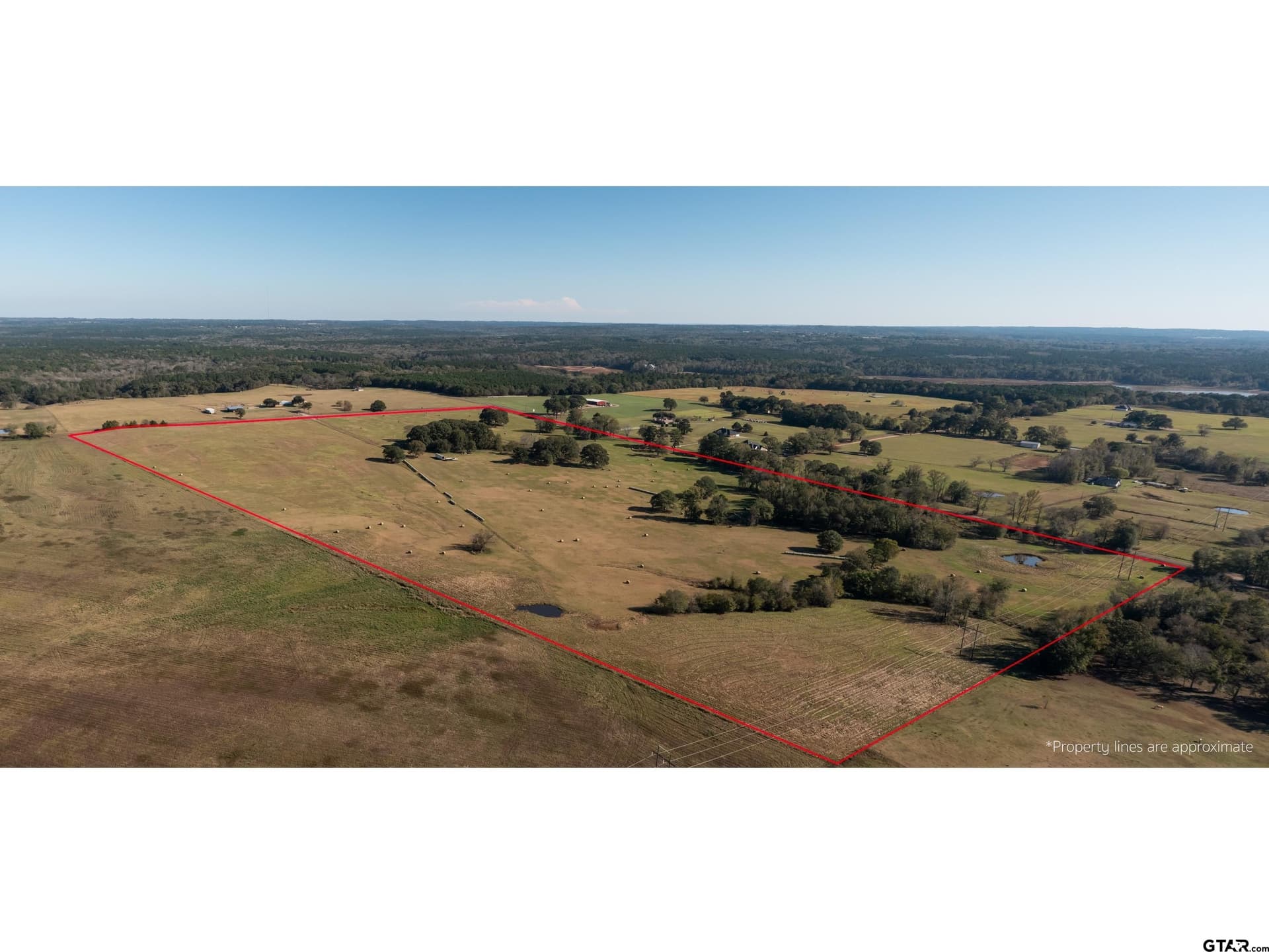 85.51 acres in Cherokee County gallery image 2