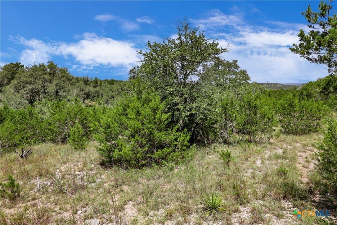 11.55 acres in Hays County - photo 12