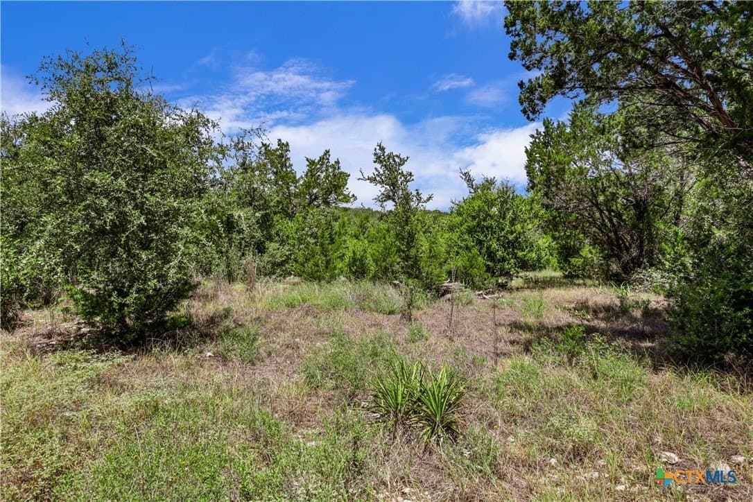 11.55 acres in Hays County - photo 11