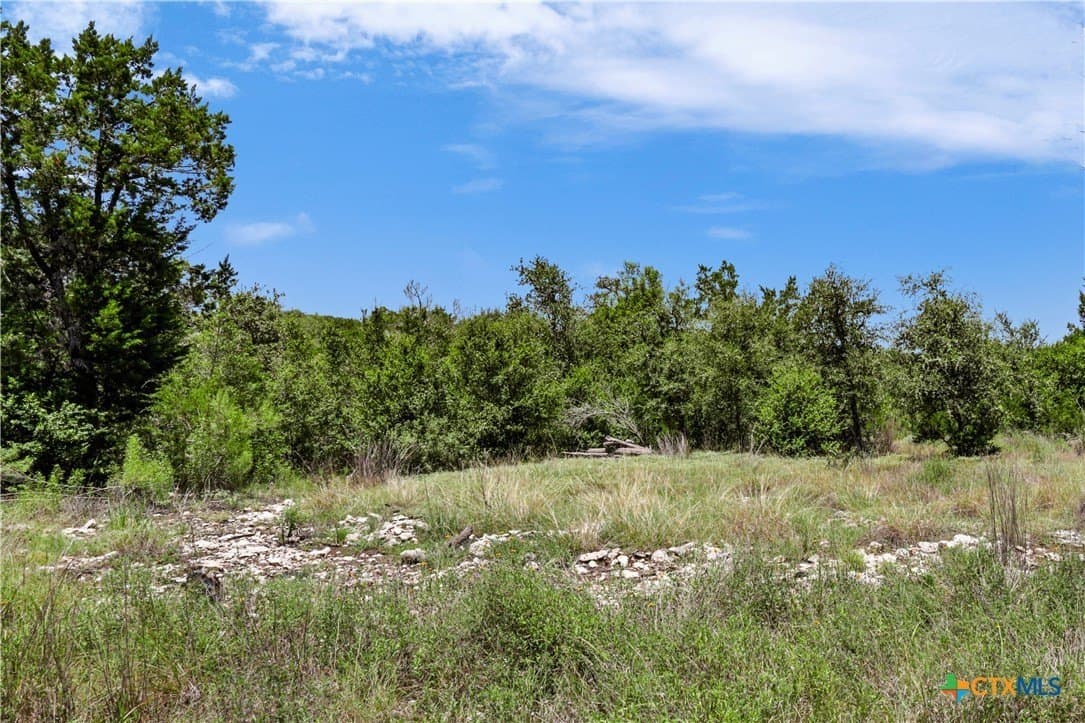 11.55 acres in Hays County - photo 9