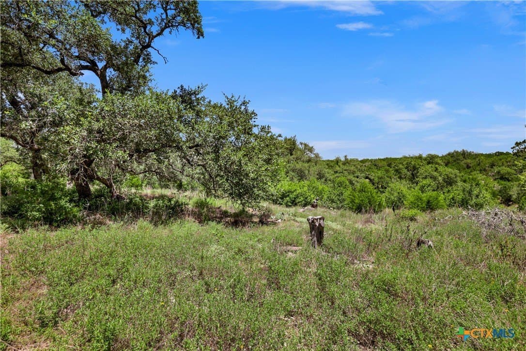 11.55 acres in Hays County - photo 13