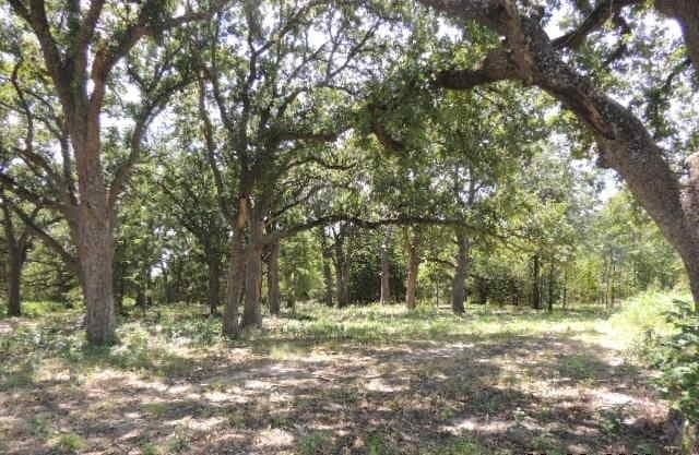 1.72 acres in Hunt County gallery image 4