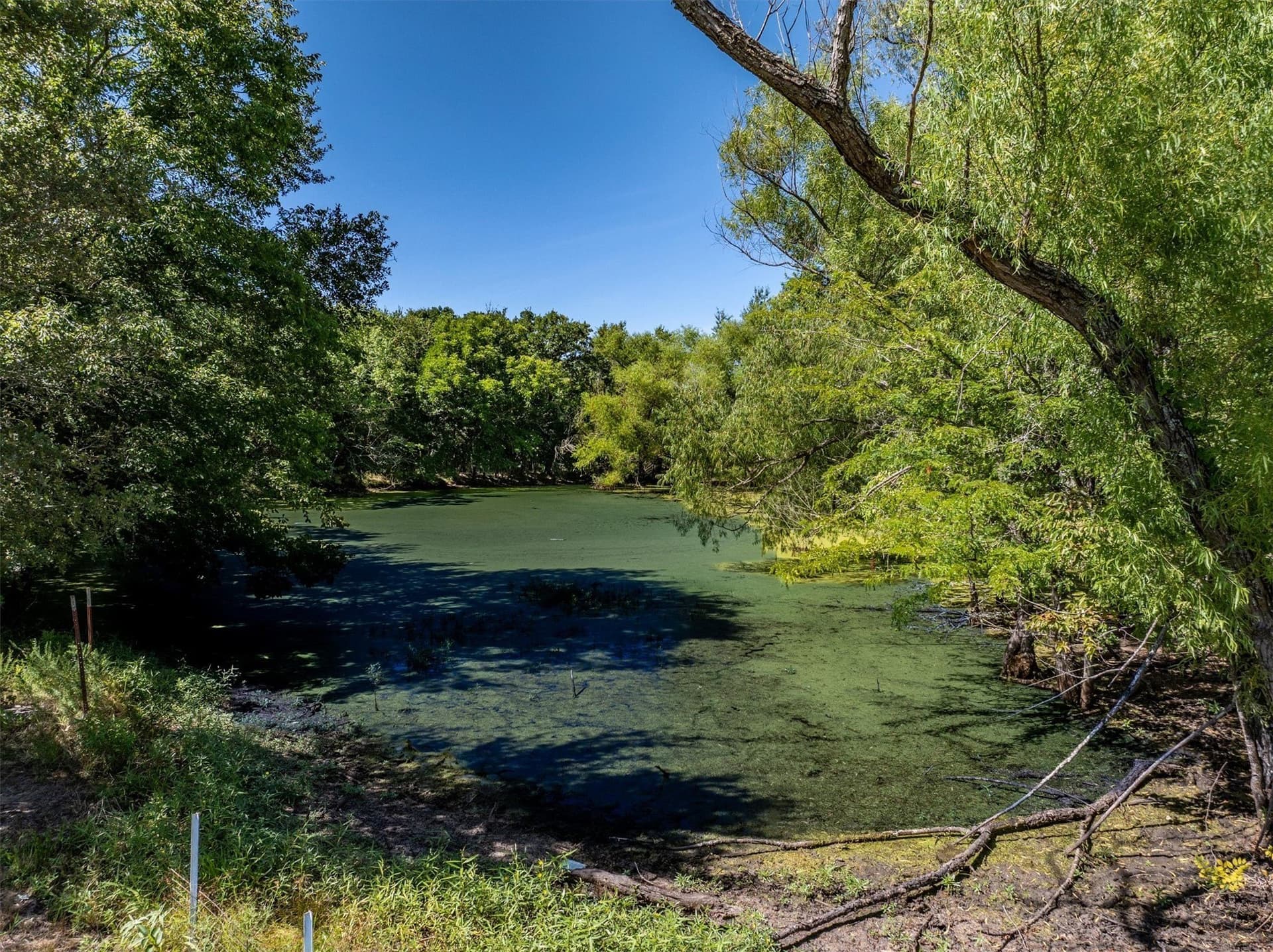 27.51 acres in Hopkins County - photo 37