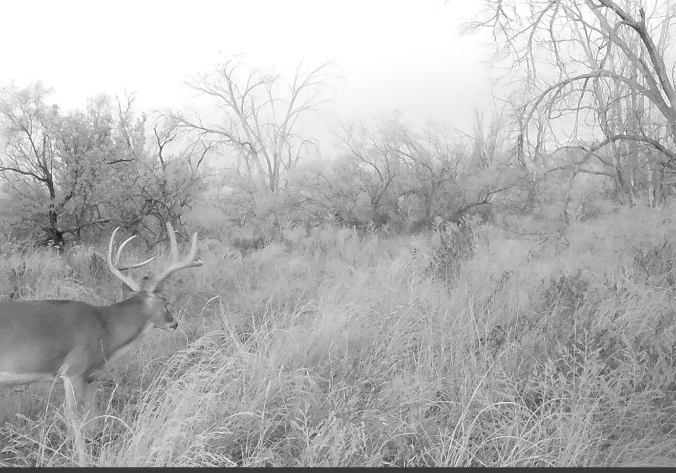 149 acres in Hall County - photo 39