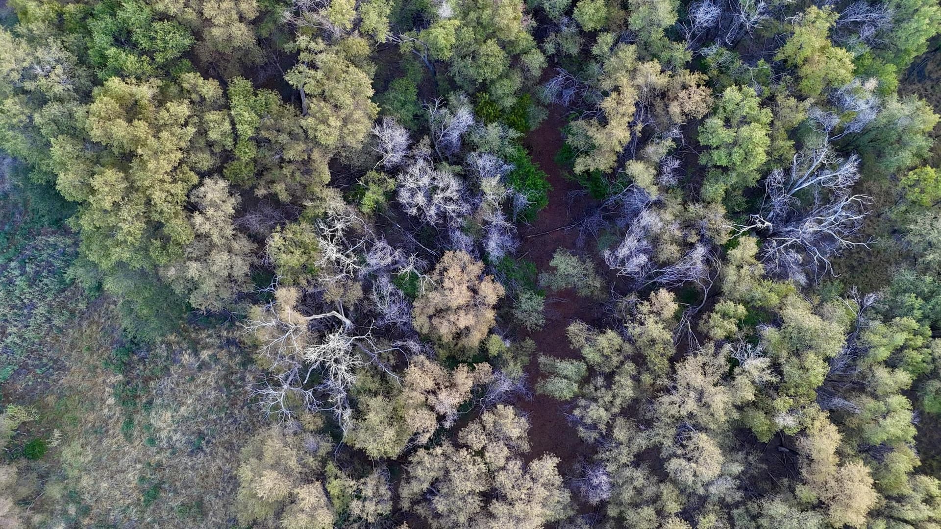 149 acres in Hall County - photo 10