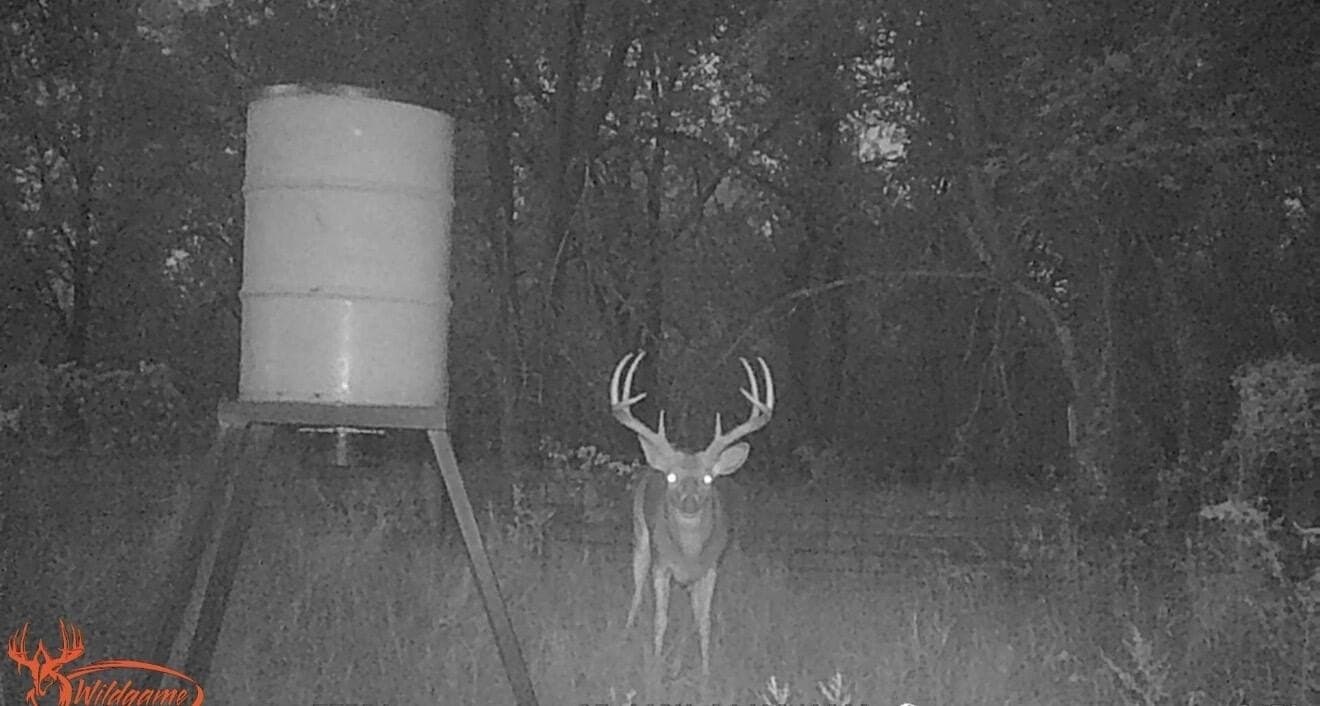 149 acres in Hall County - photo 40