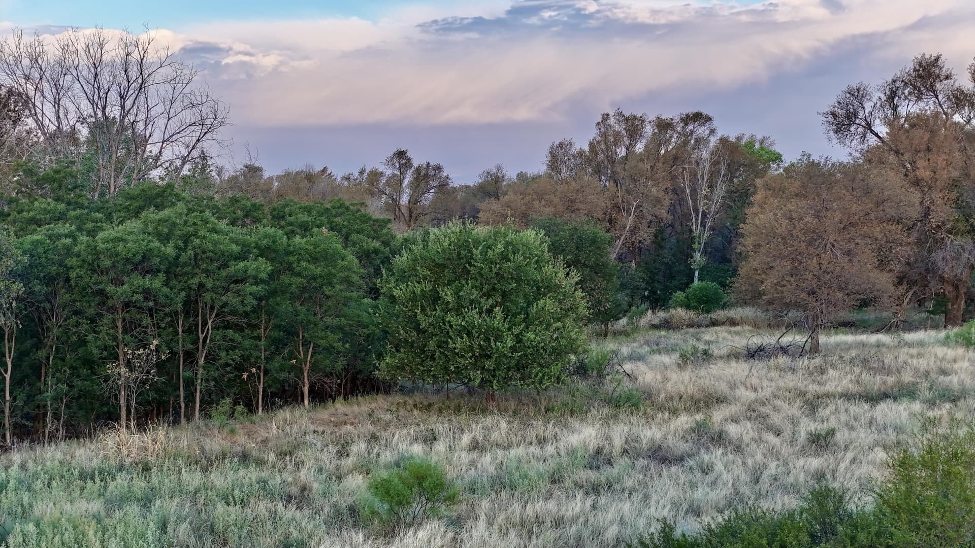 149 acres in Hall County - photo 7