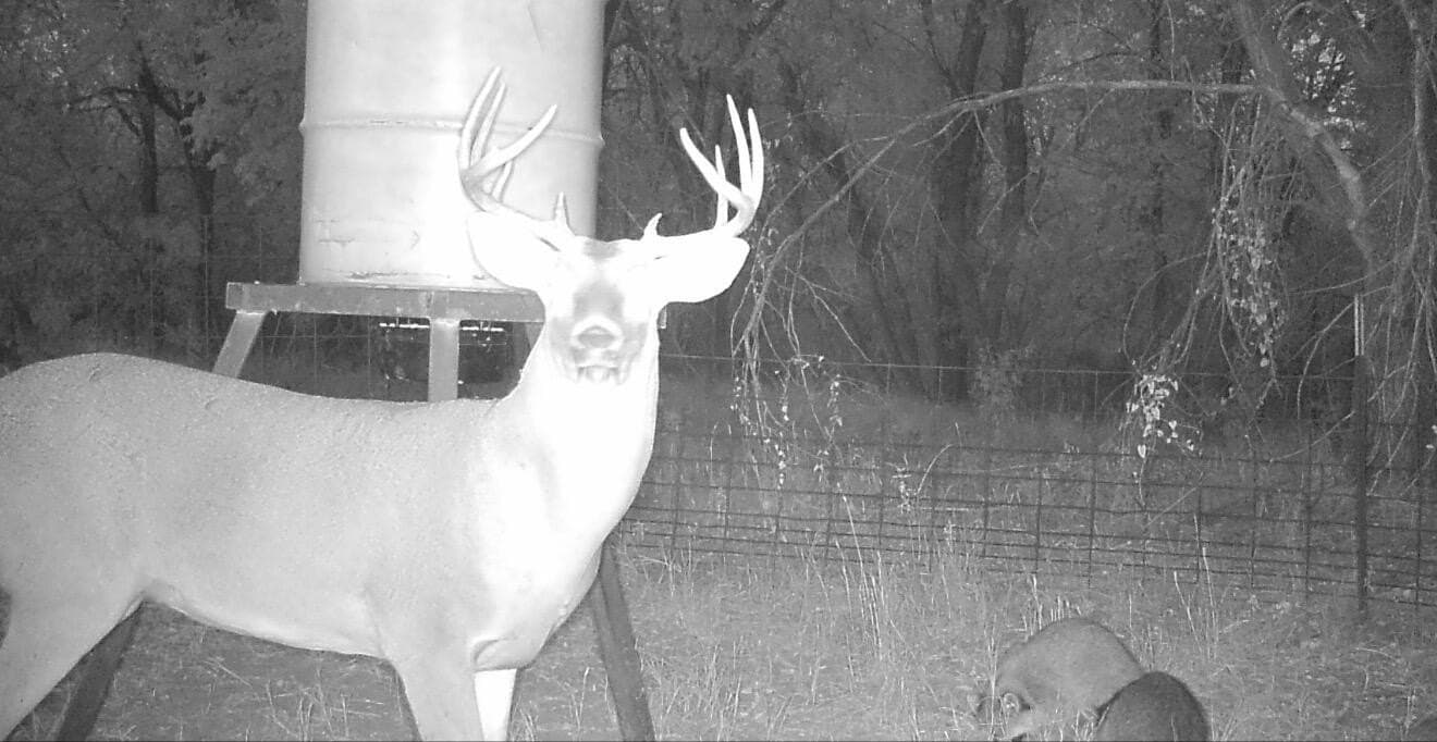 149 acres in Hall County - photo 38