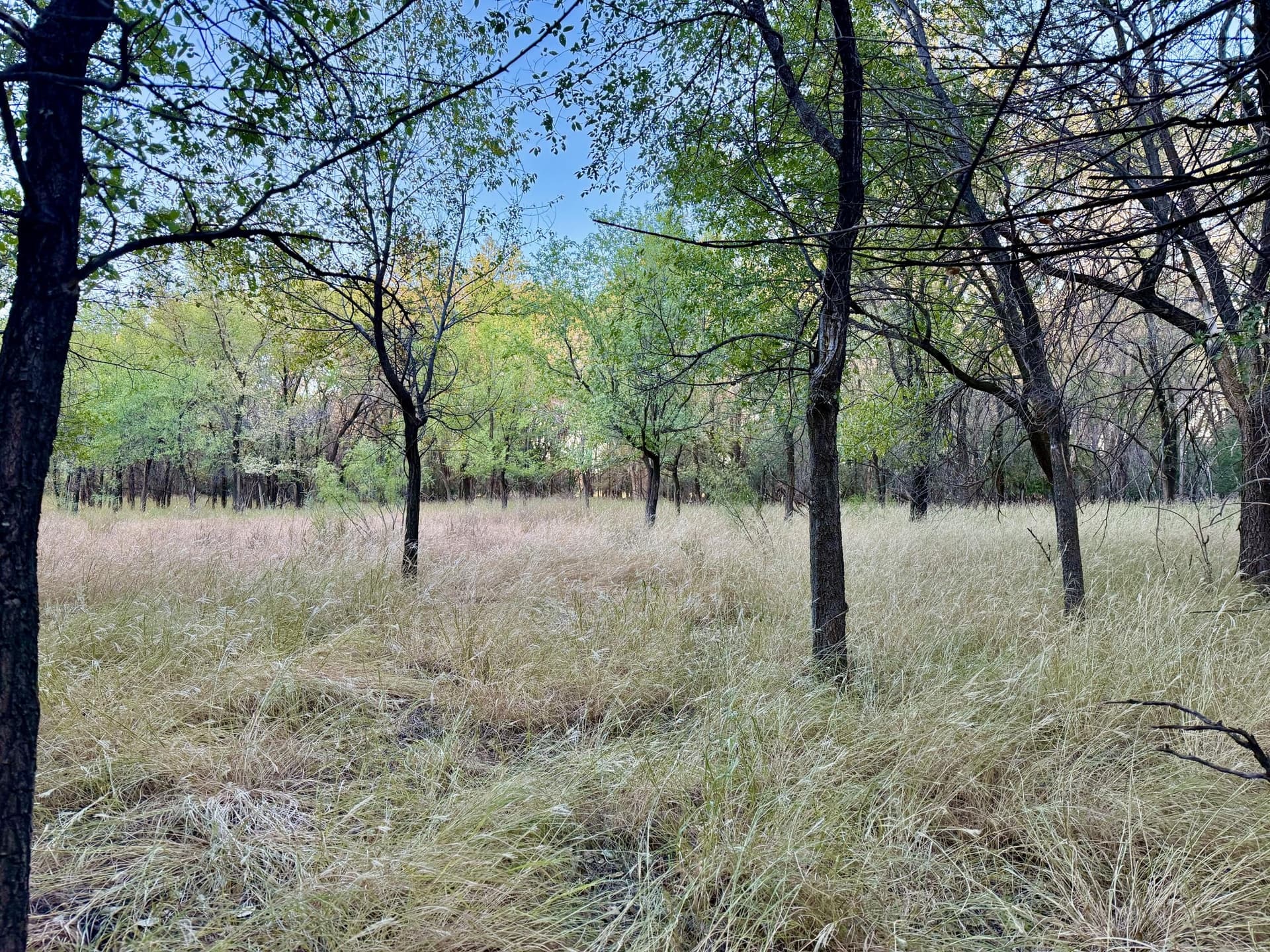 149 acres in Hall County - photo 33
