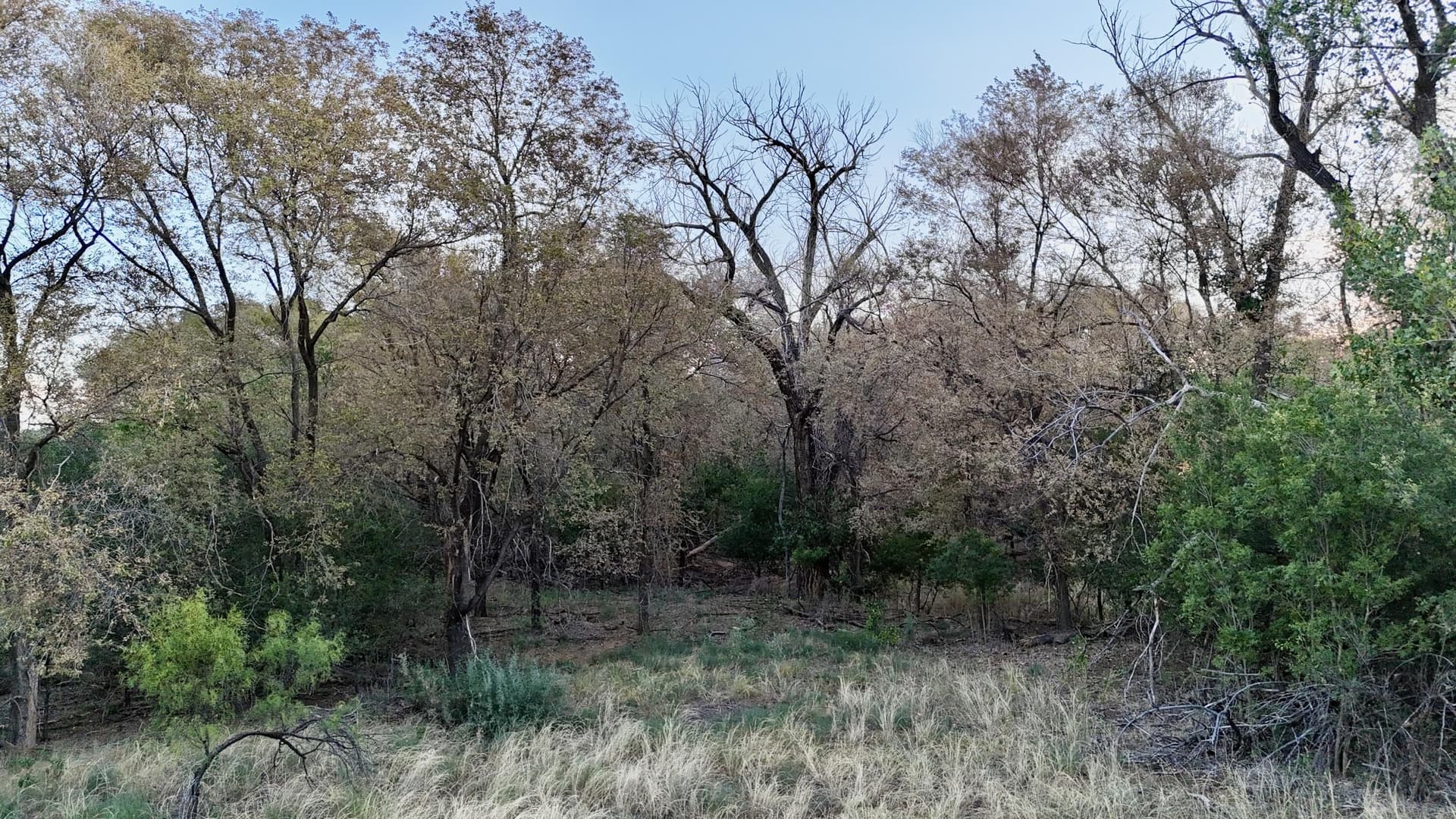 149 acres in Hall County - photo 9