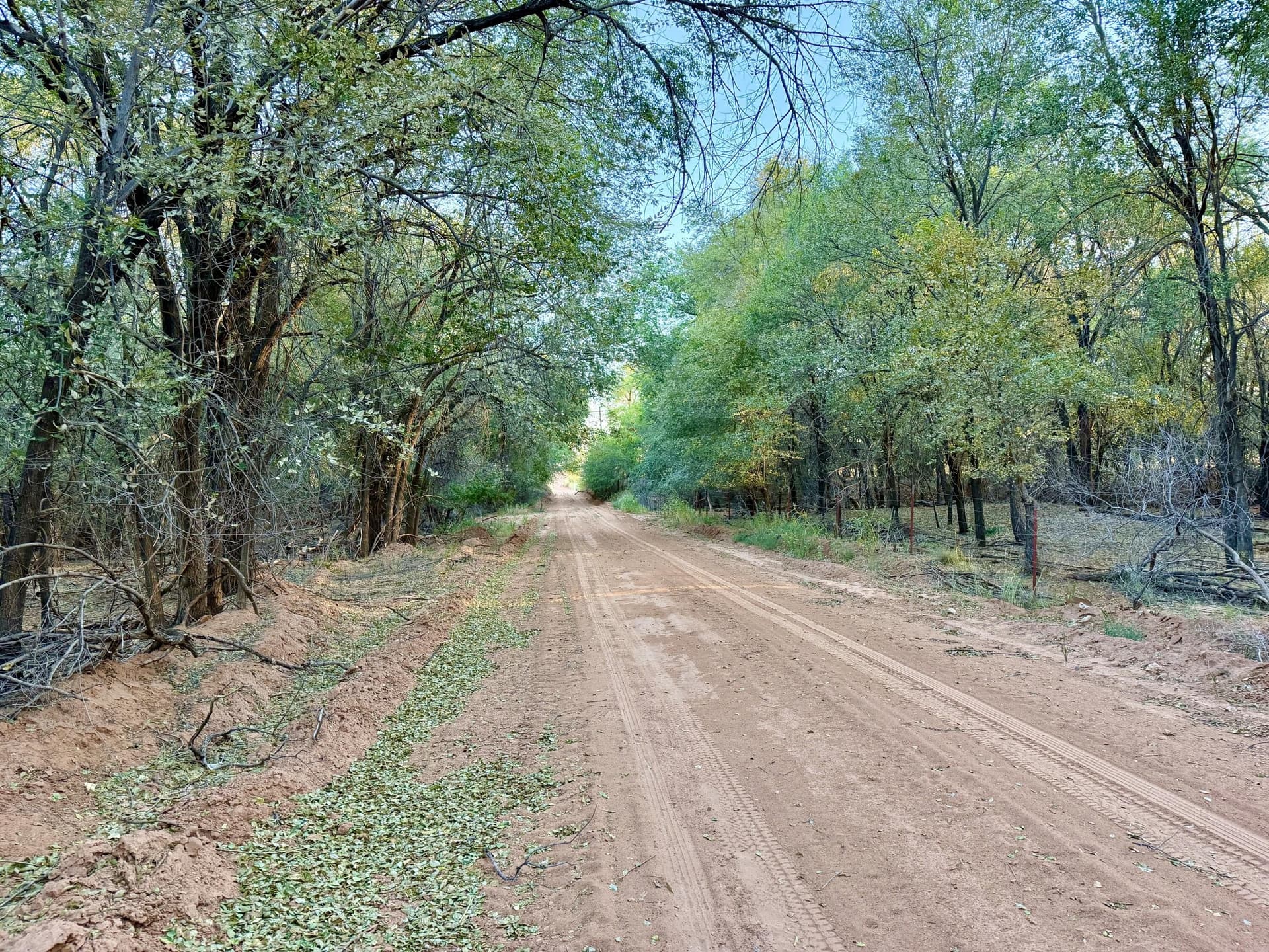 149 acres in Hall County - photo 35