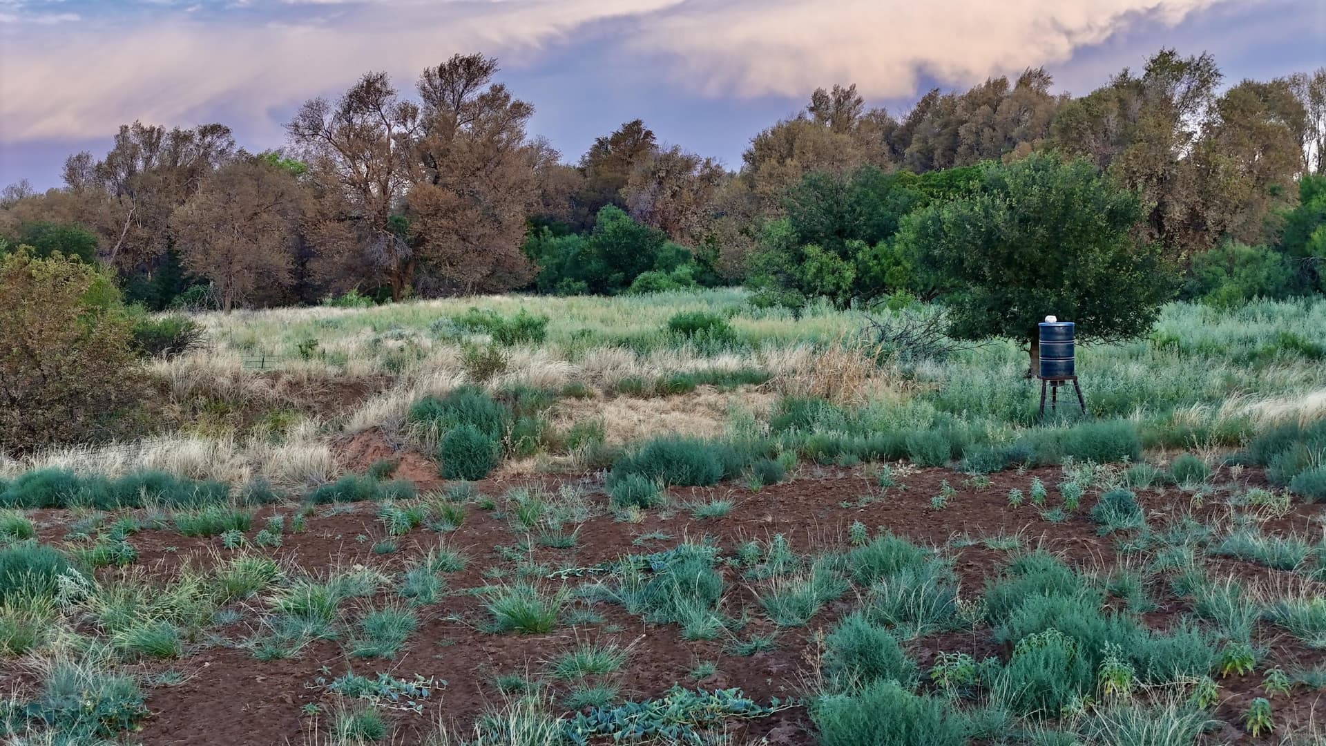 149 acres in Hall County - photo 6