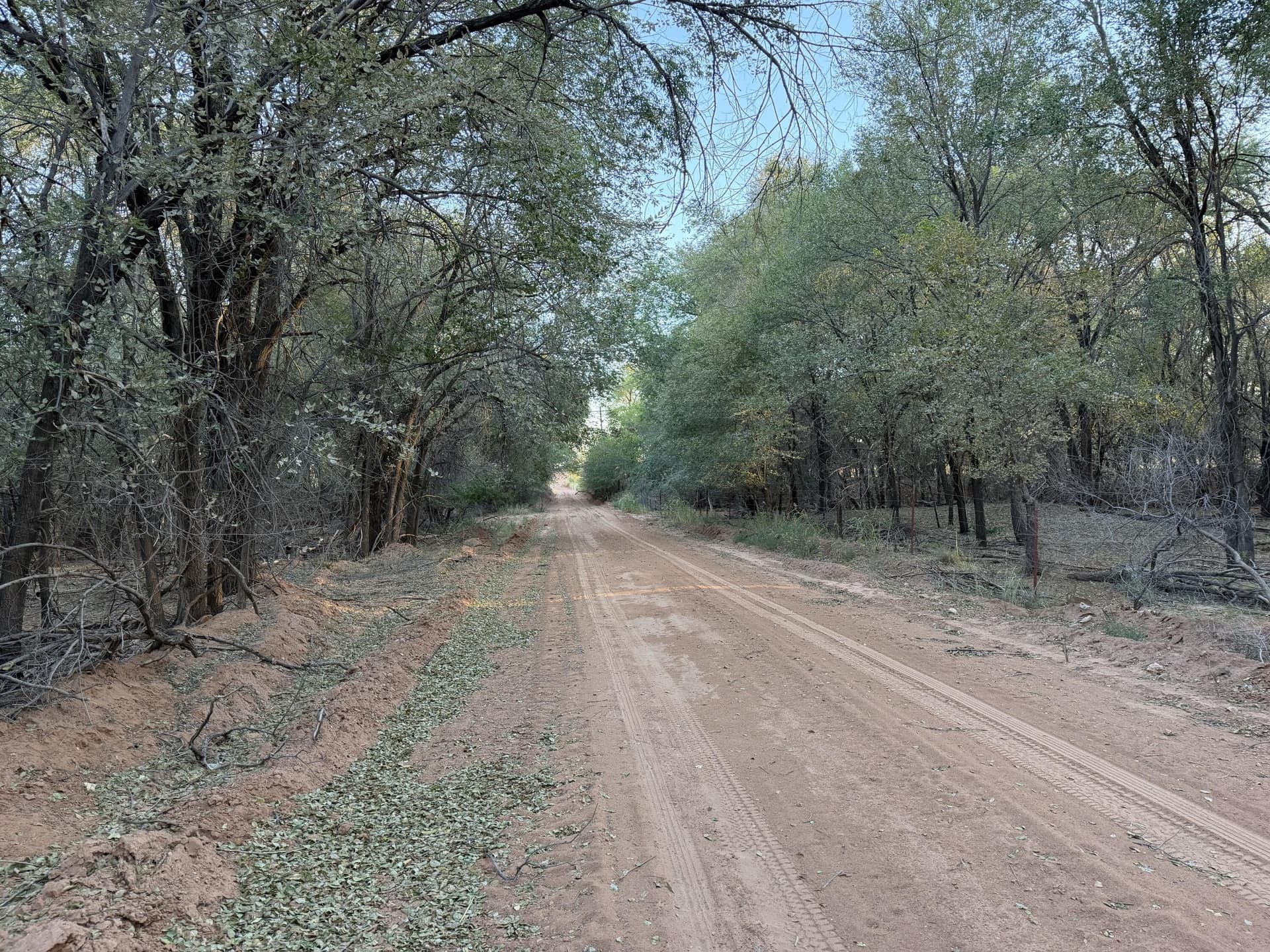 149 acres in Hall County - photo 34