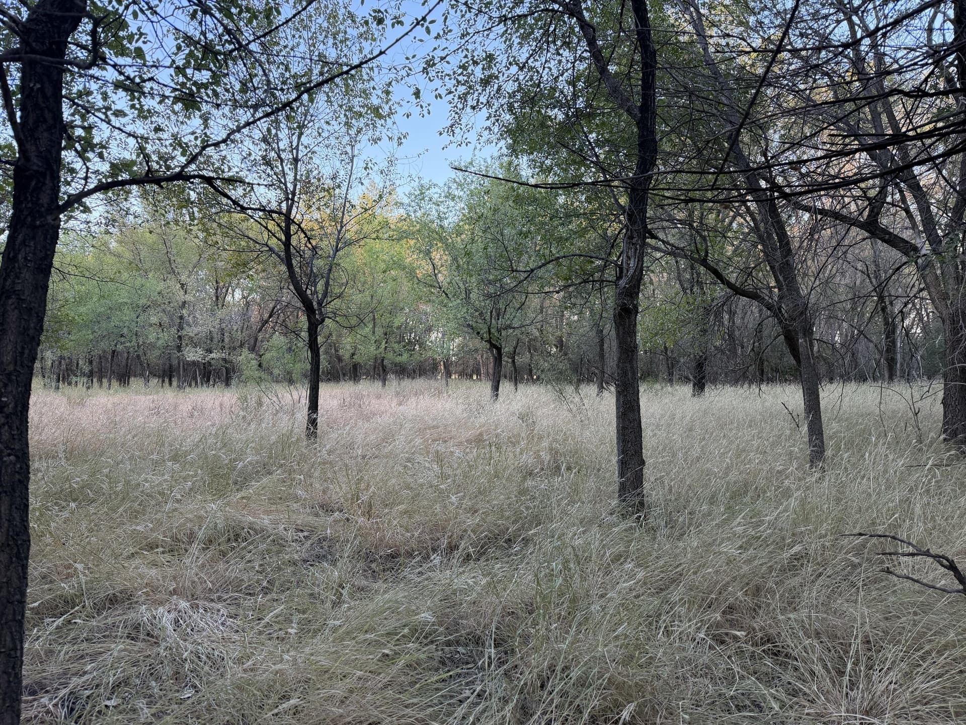 149 acres in Hall County - photo 32