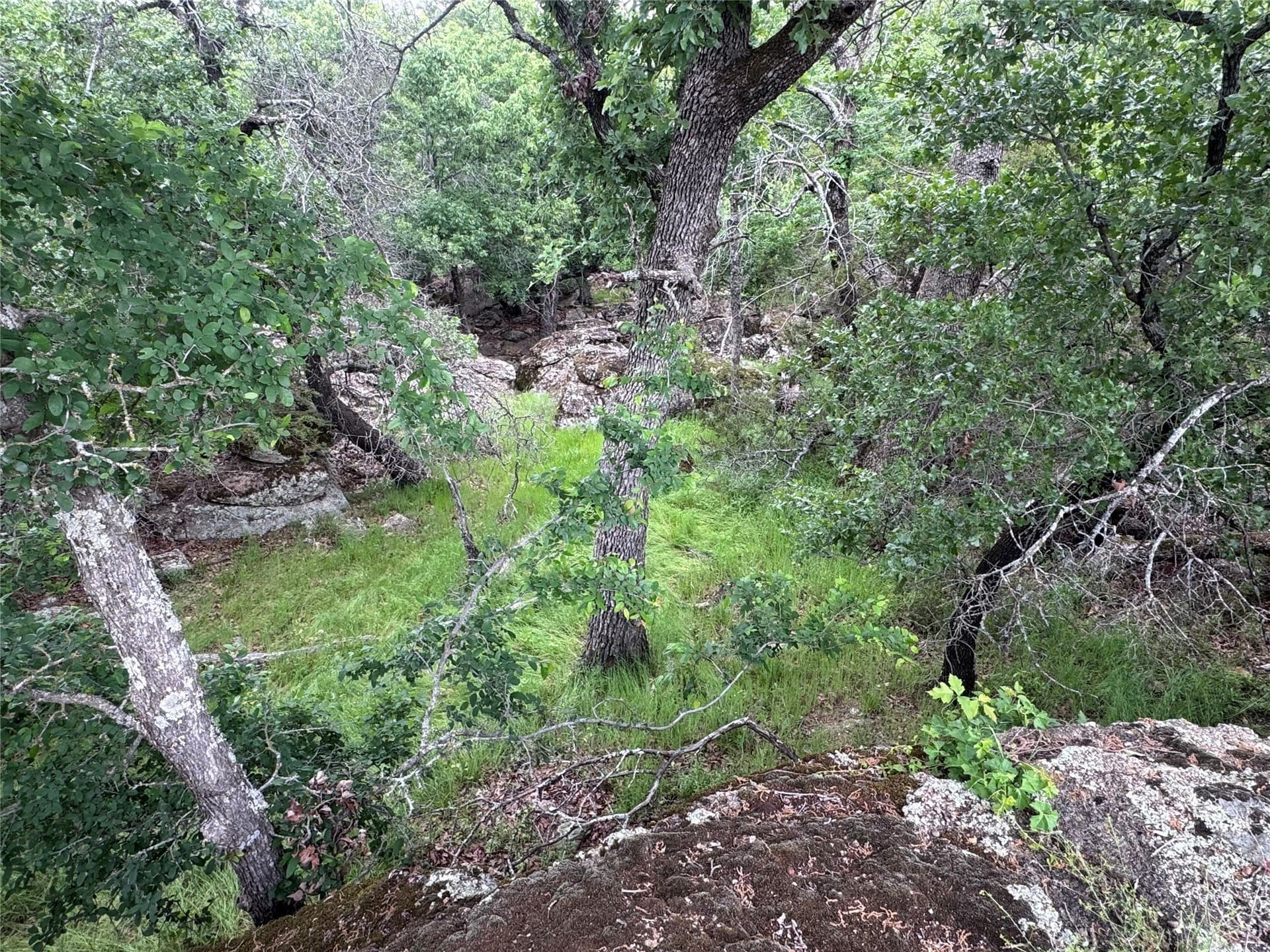 1.54 acres in Palo Pinto County - photo 6