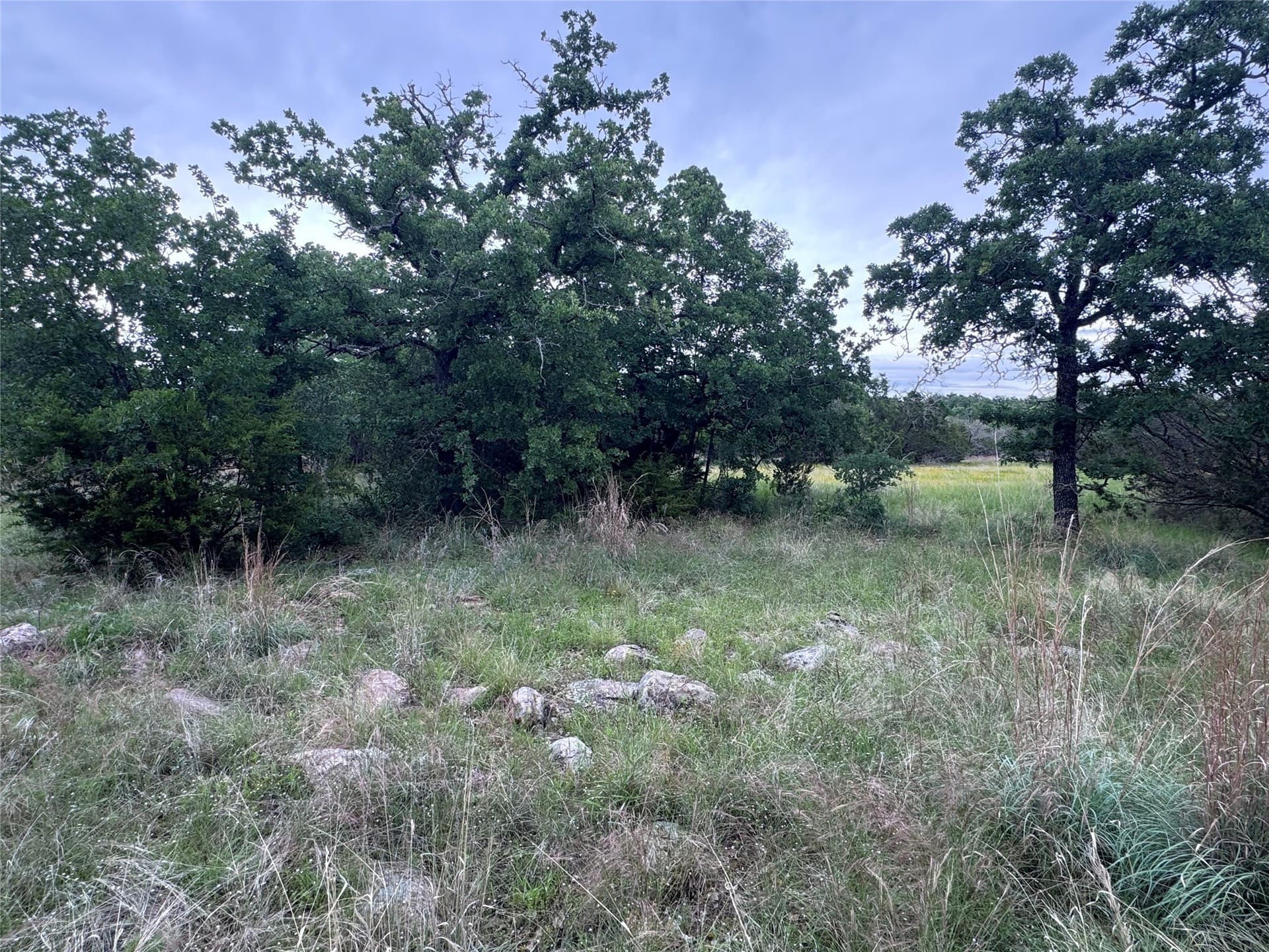 1.54 acres in Palo Pinto County gallery image 2