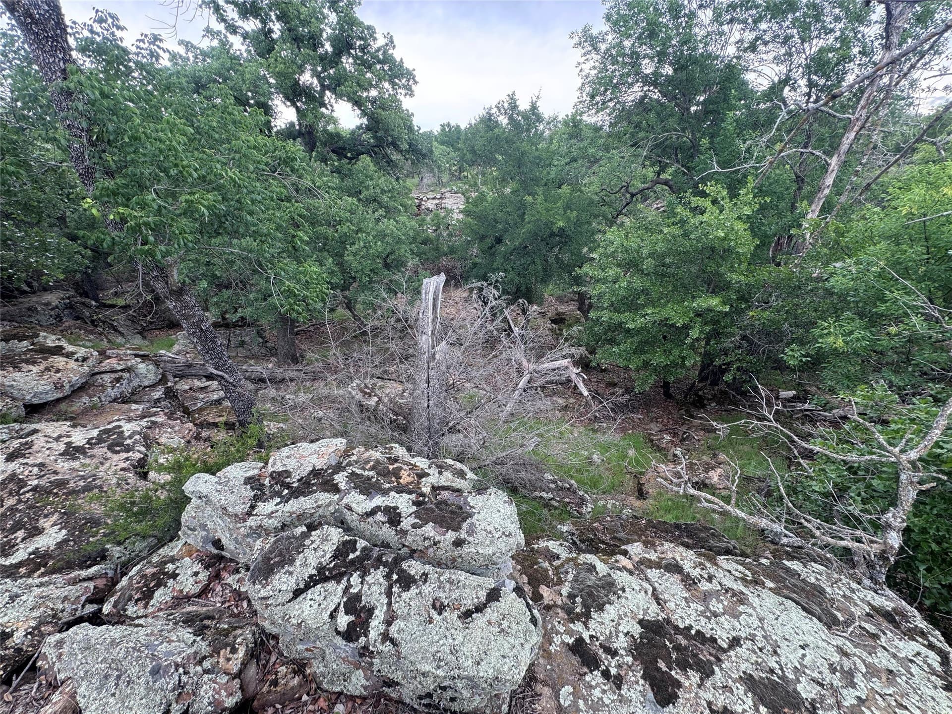 1.54 acres in Palo Pinto County - photo 8