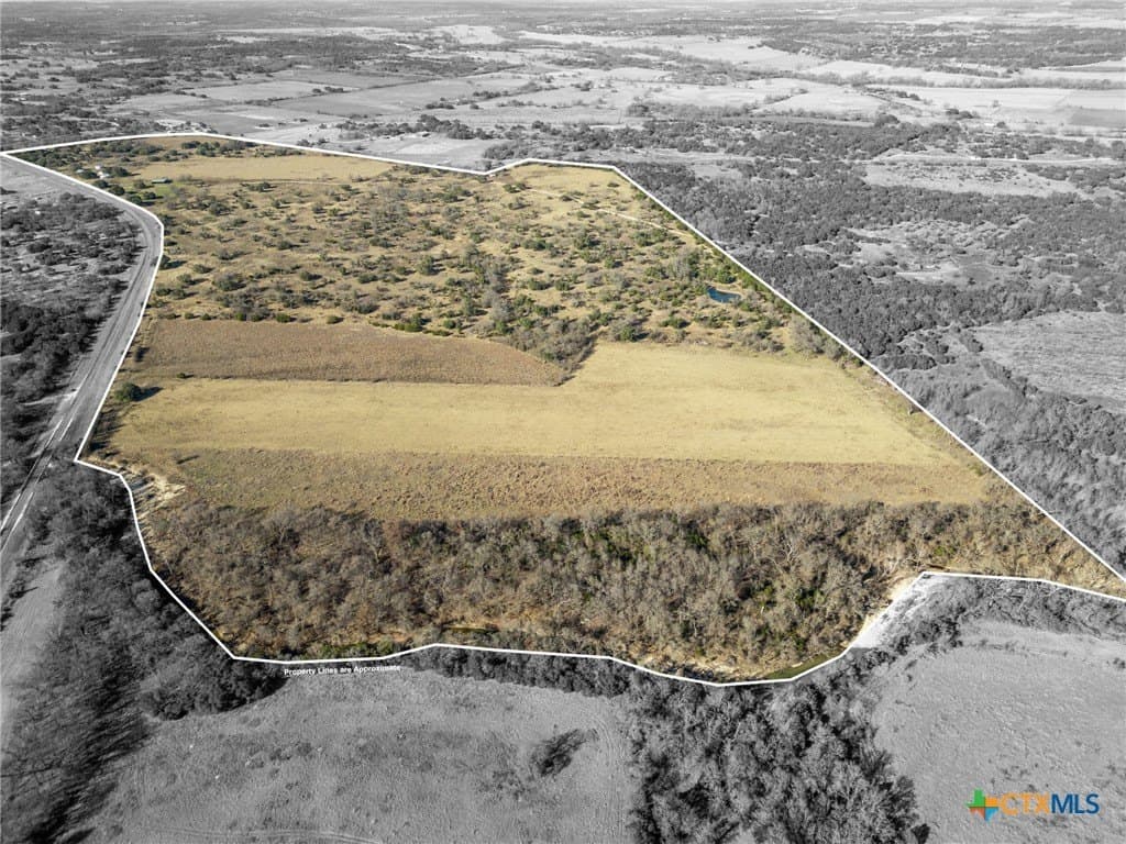 208 acres in Coryell County gallery image 2