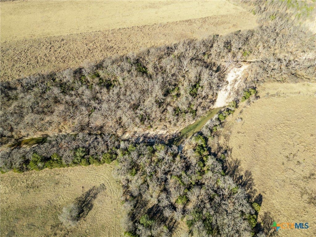 208 acres in Coryell County gallery image 4