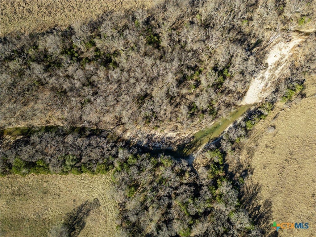 208 acres in Coryell County featured view