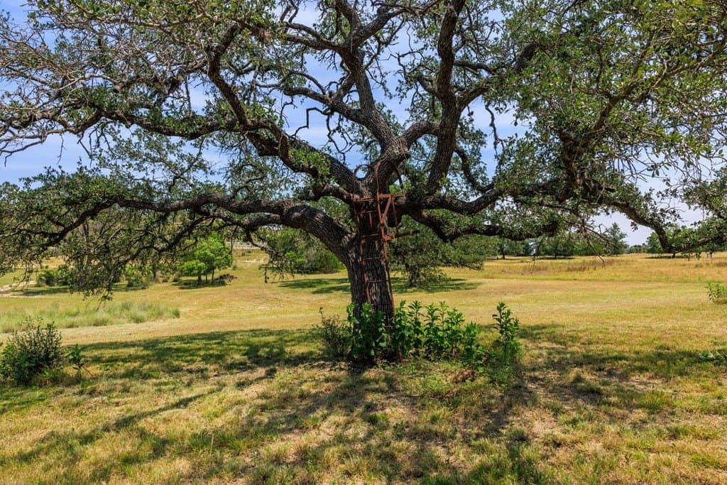 17 acres in Gillespie County - photo 48