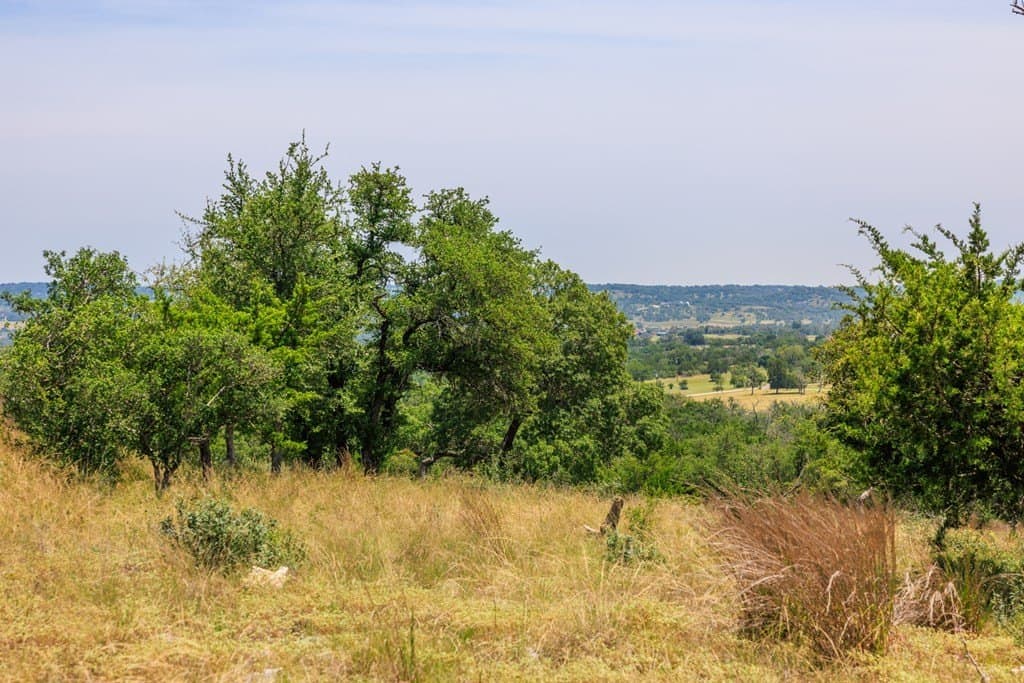17 acres in Gillespie County - photo 40
