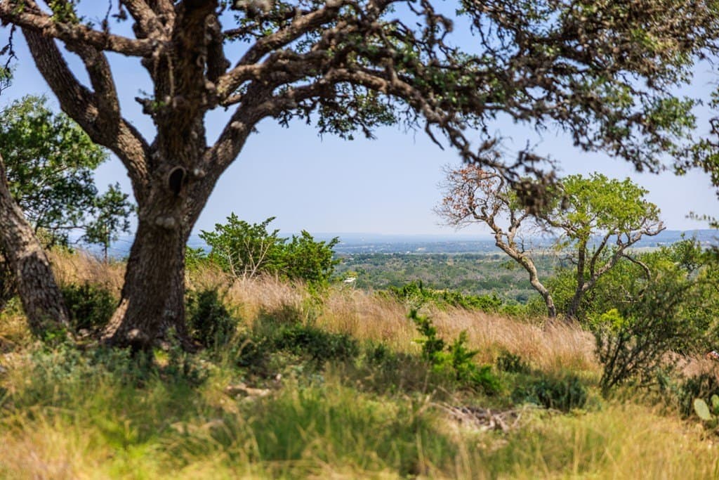 17 acres in Gillespie County - photo 36