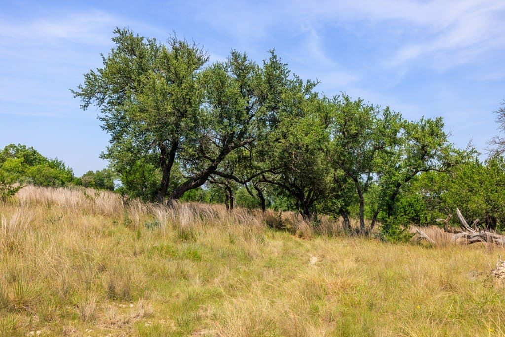 17 acres in Gillespie County - photo 43