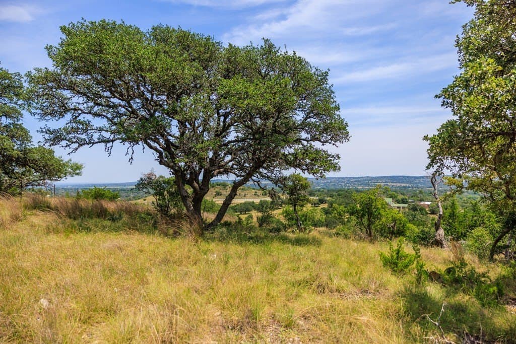 17 acres in Gillespie County - photo 37