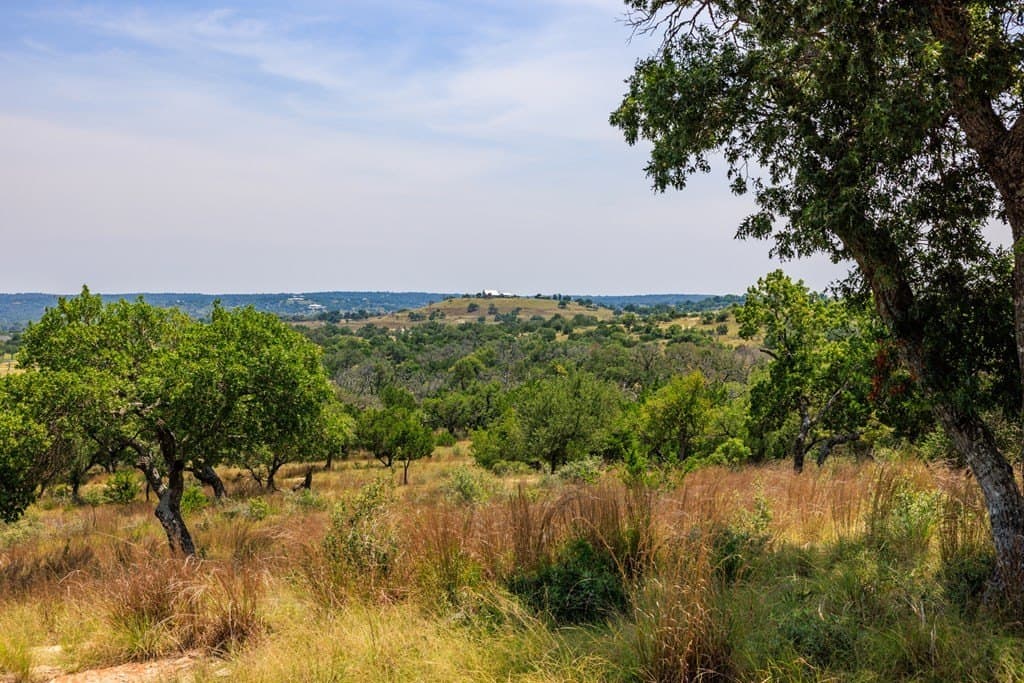 17 acres in Gillespie County - photo 31