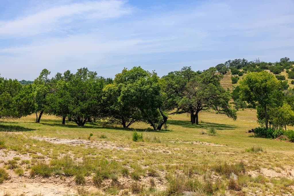 17 acres in Gillespie County - photo 10