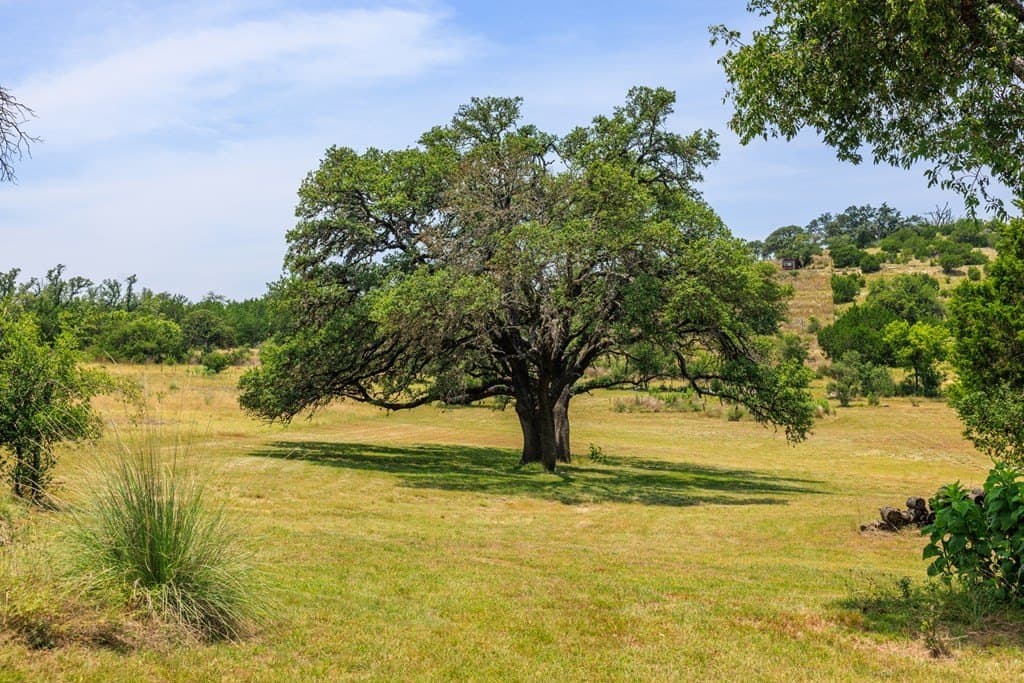 17 acres in Gillespie County - photo 11