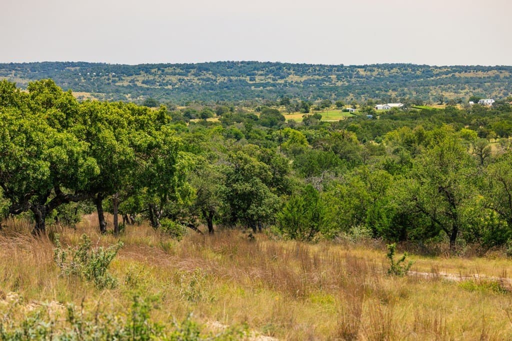 17 acres in Gillespie County - photo 26