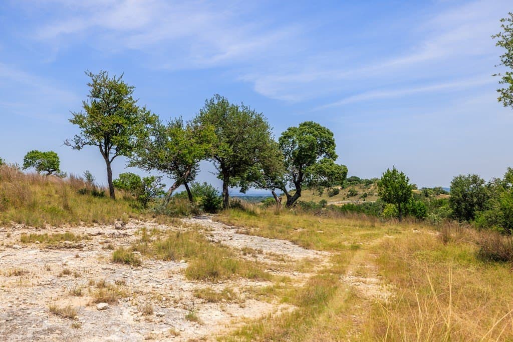 17 acres in Gillespie County - photo 24
