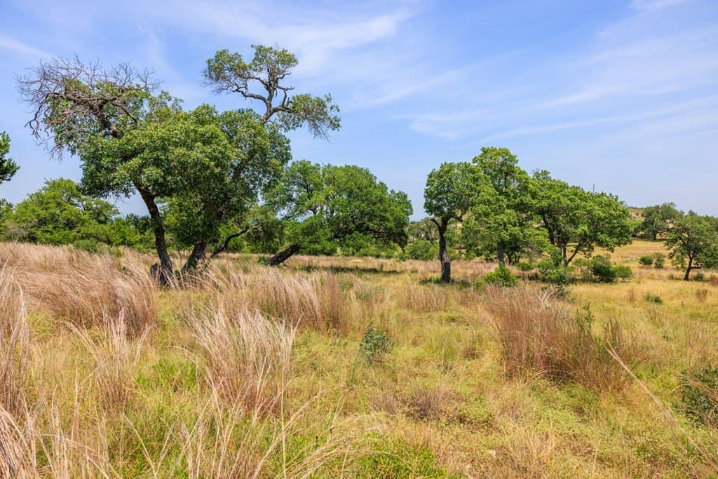 17 acres in Gillespie County - photo 44