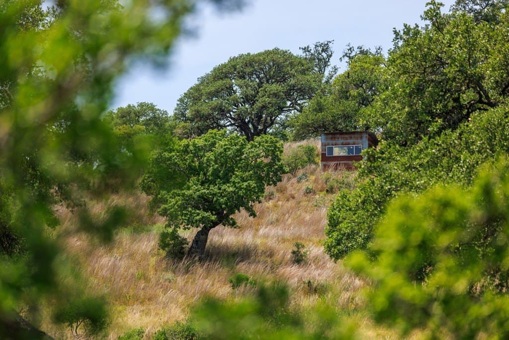 17 acres in Gillespie County - photo 15