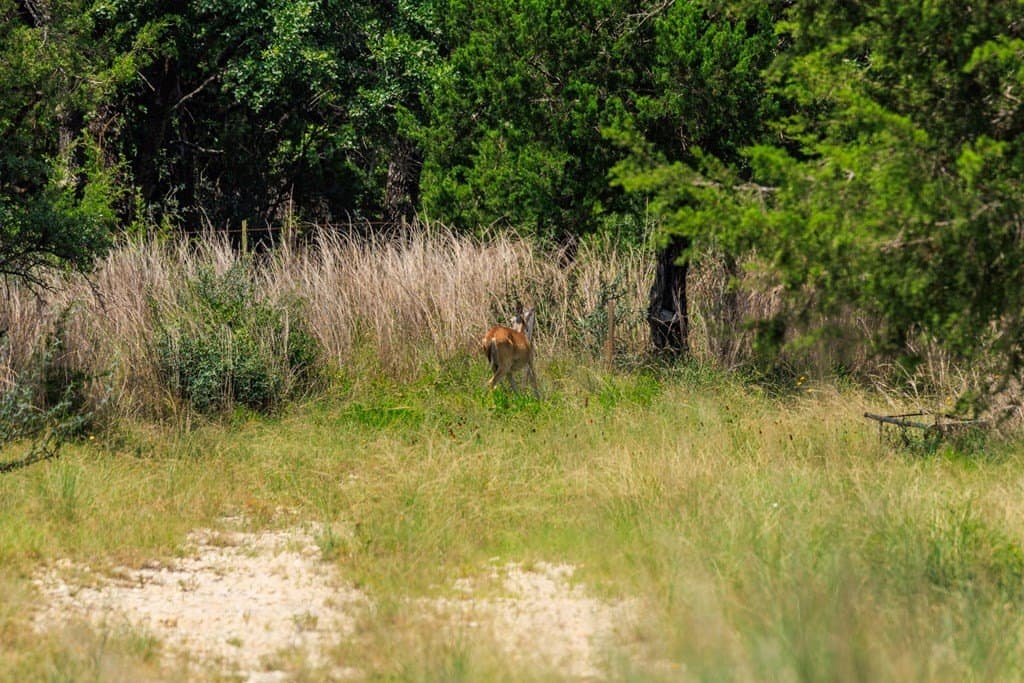 17 acres in Gillespie County - photo 49