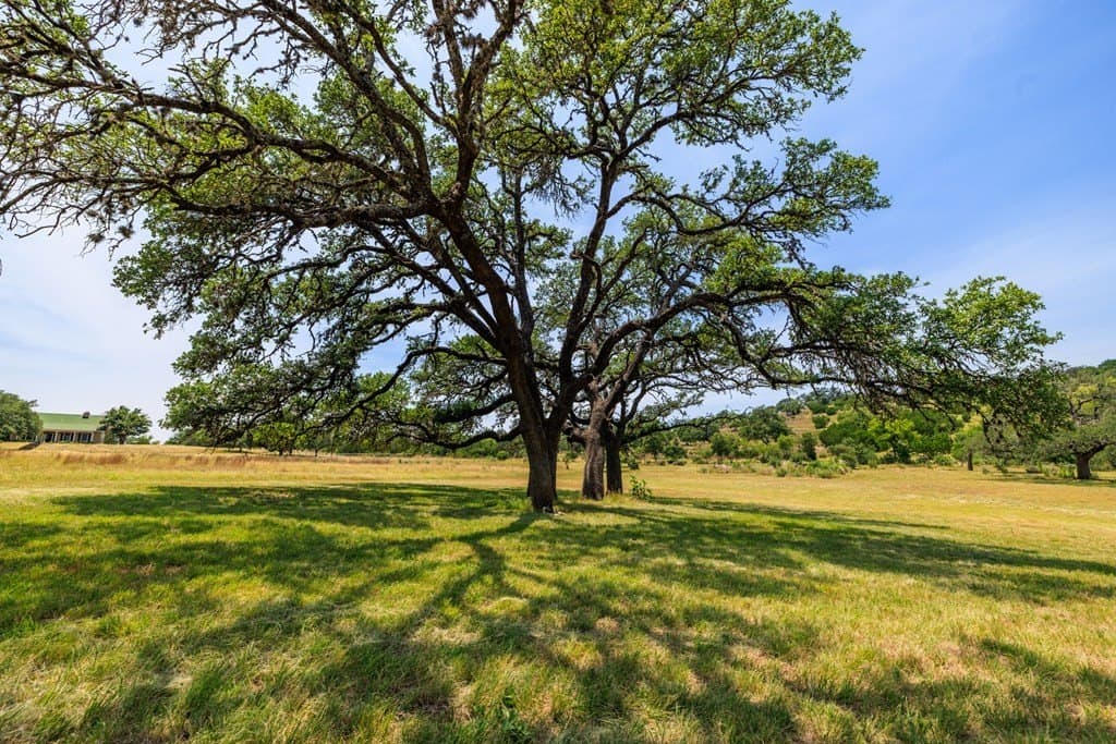 17 acres in Gillespie County - photo 12