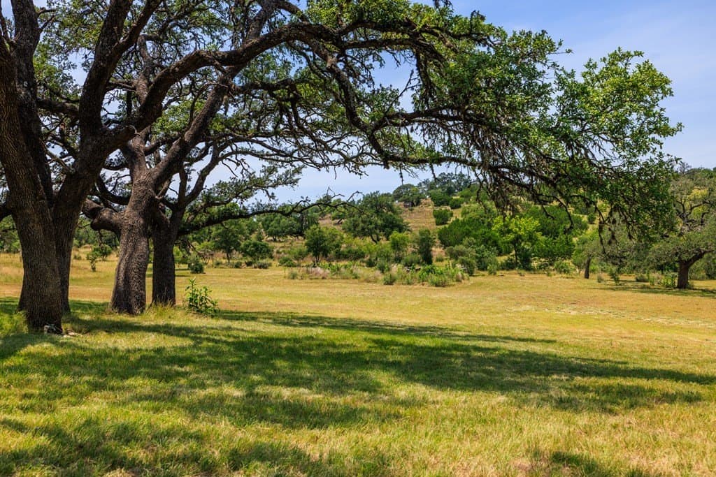 17 acres in Gillespie County - photo 13