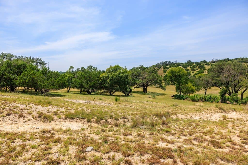 17 acres in Gillespie County - photo 9