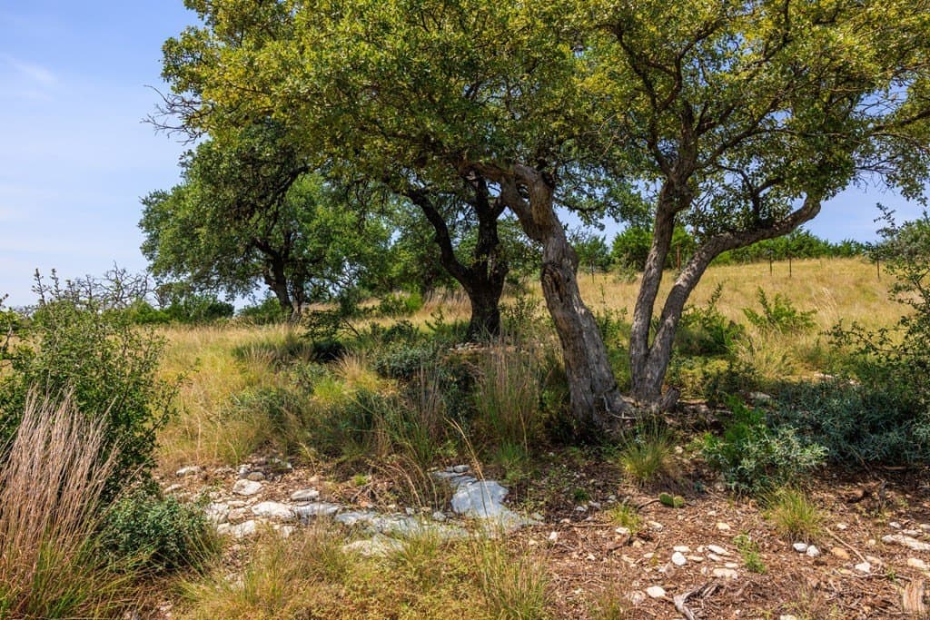 17 acres in Gillespie County - photo 34