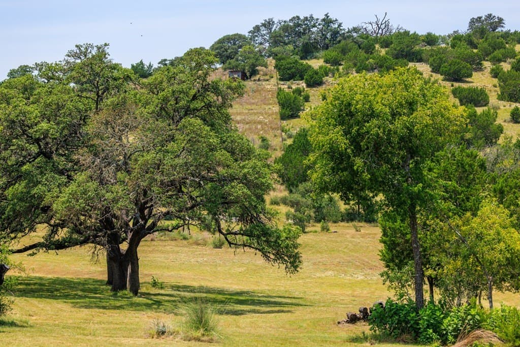17 acres in Gillespie County - photo 8