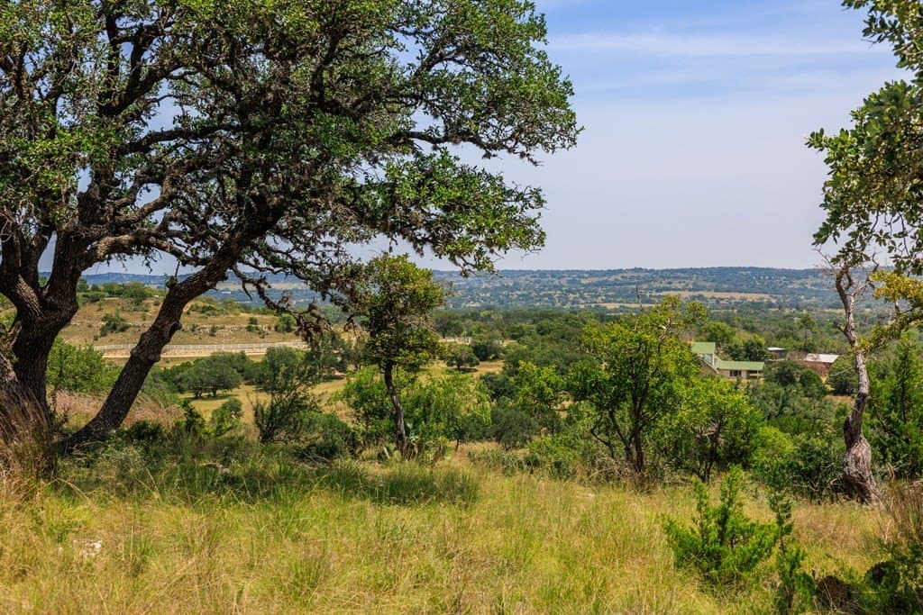 17 acres in Gillespie County - photo 38