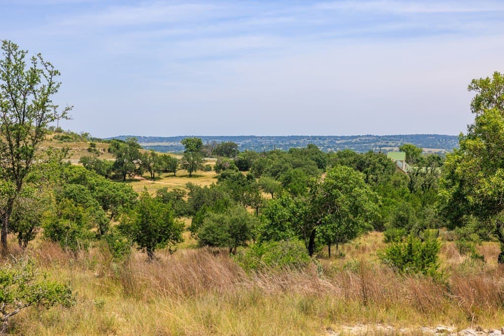 17 acres in Gillespie County - photo 23