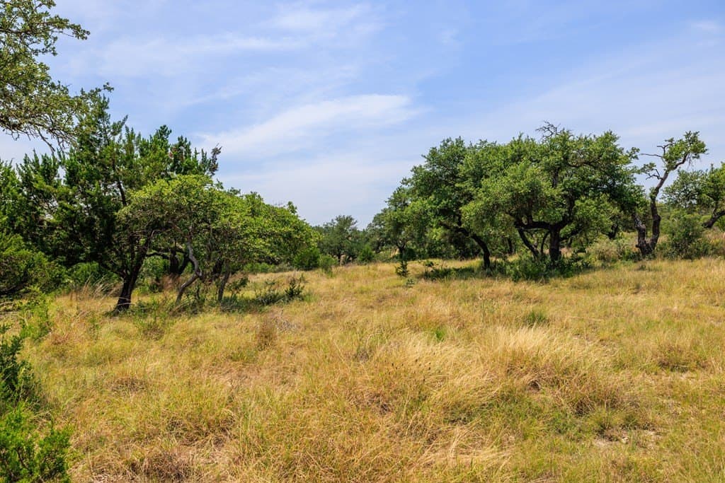 17 acres in Gillespie County - photo 25