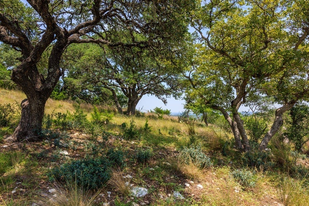 17 acres in Gillespie County - photo 35