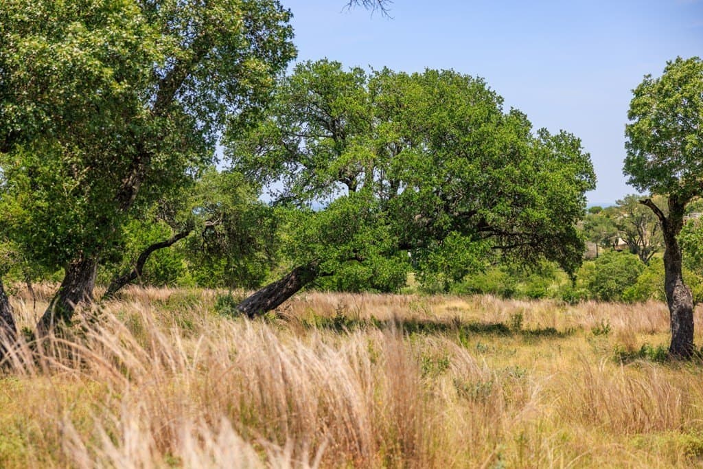 17 acres in Gillespie County - photo 45