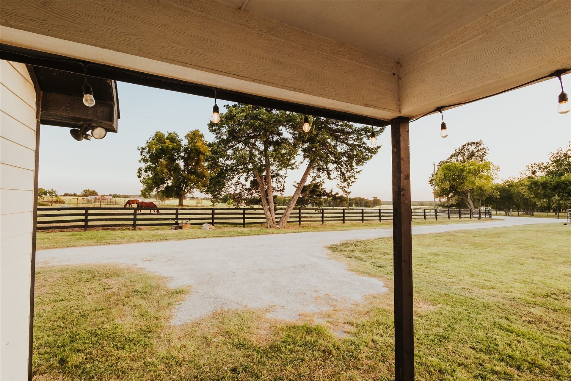 14 acres in Hill County - photo 34