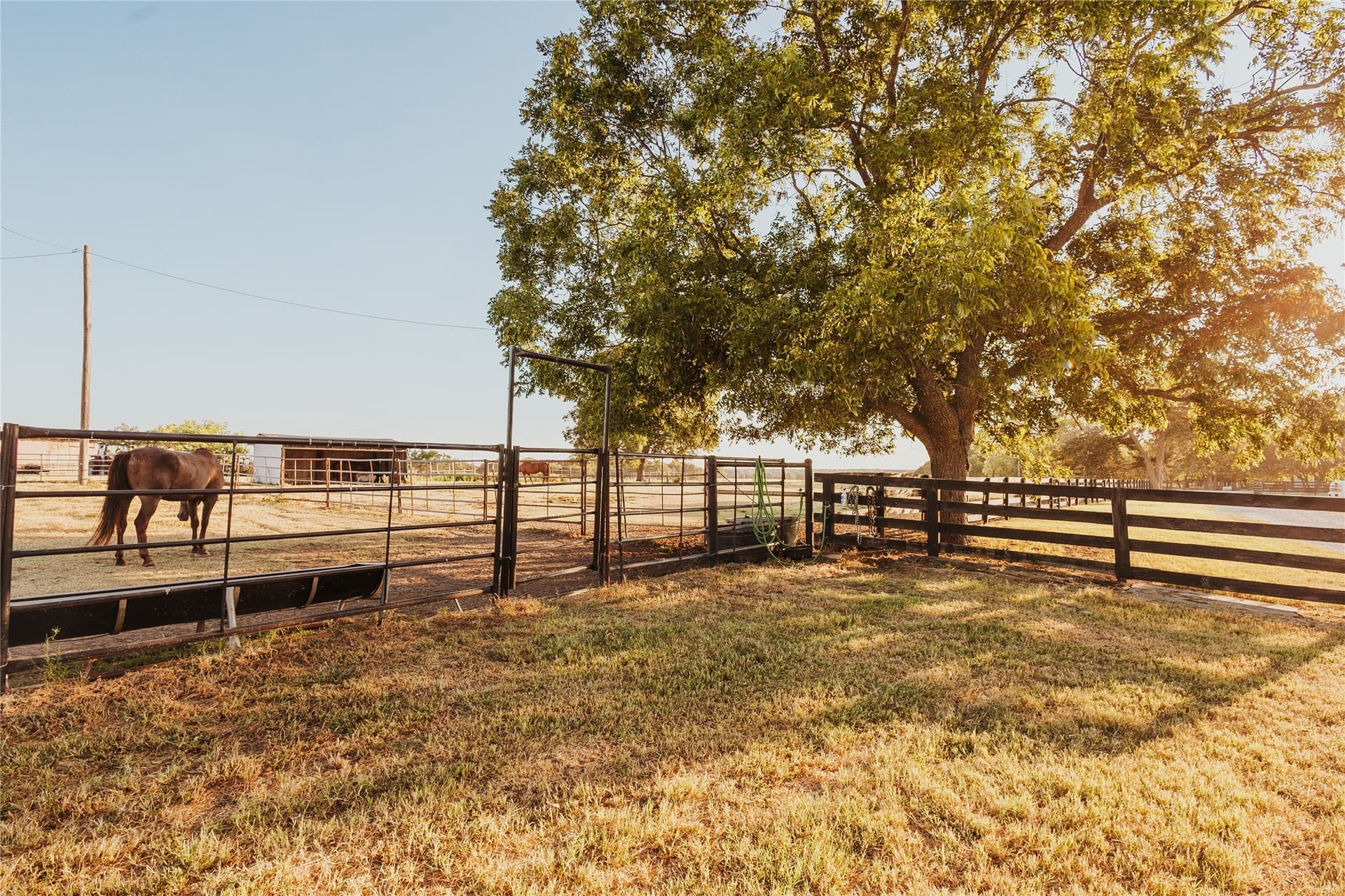 14 acres in Hill County - photo 24