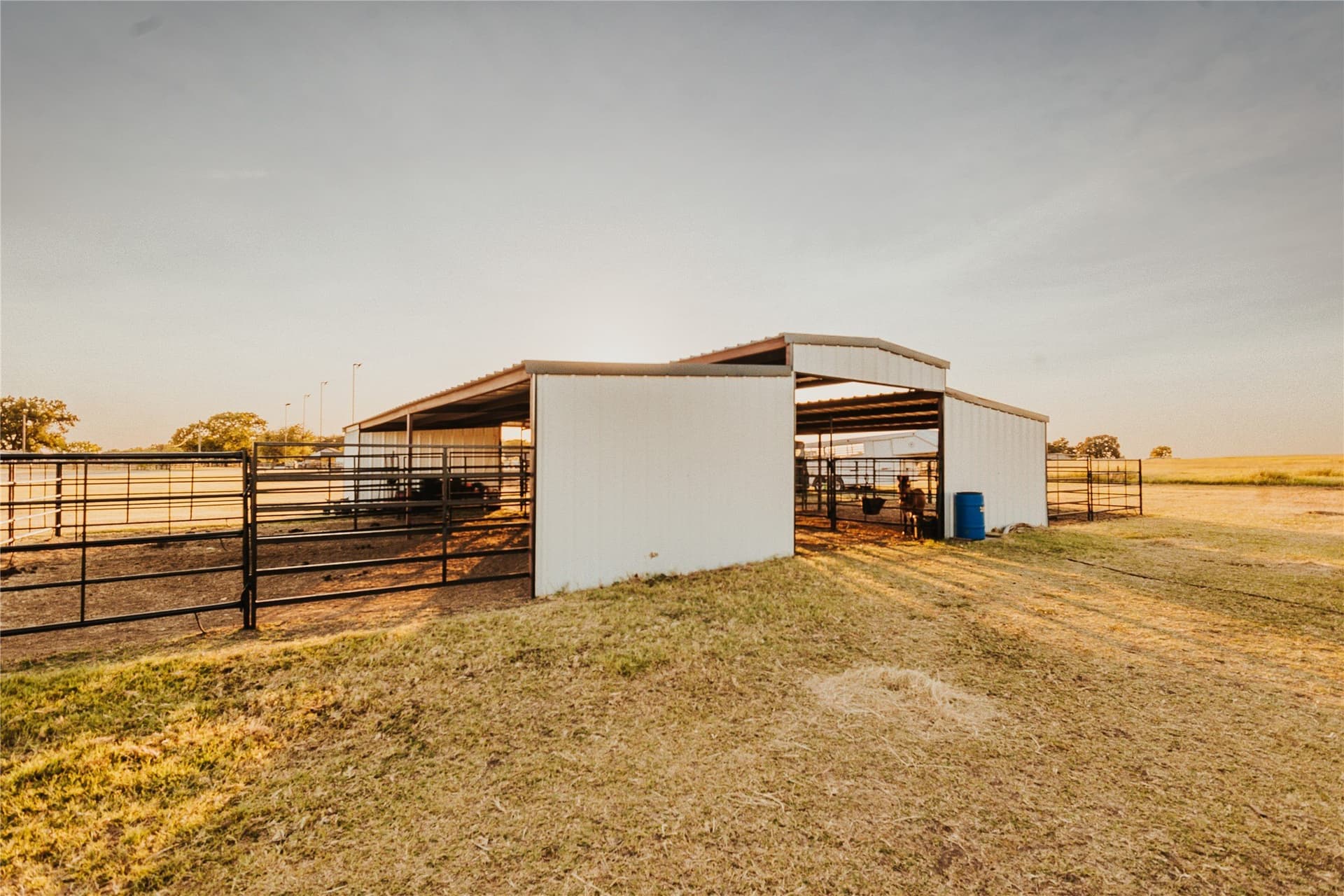 14 acres in Hill County - photo 3